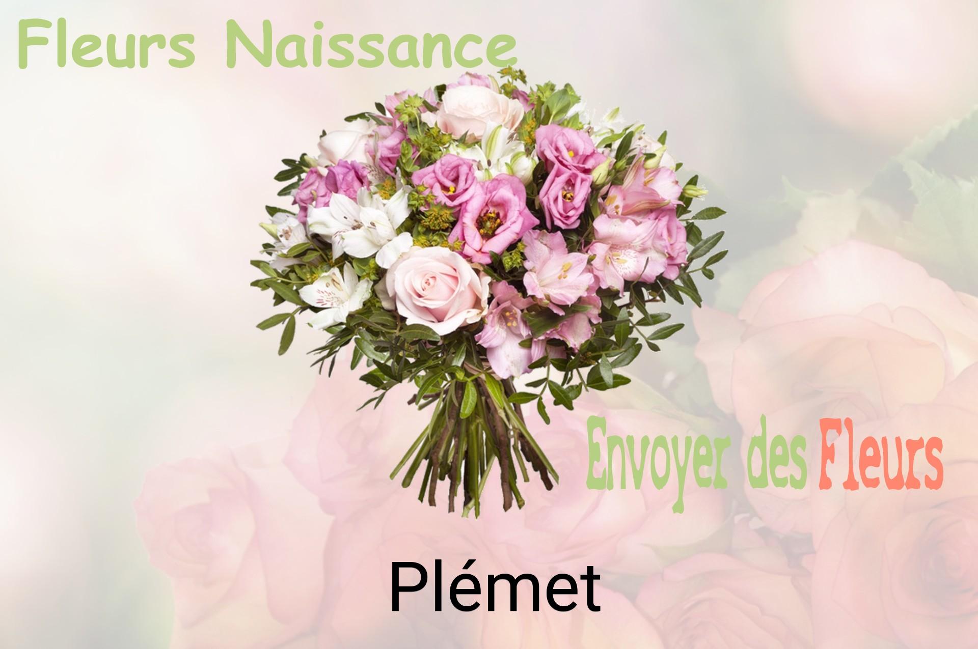 Bouquet de fleurs de naissance livré à Plémet